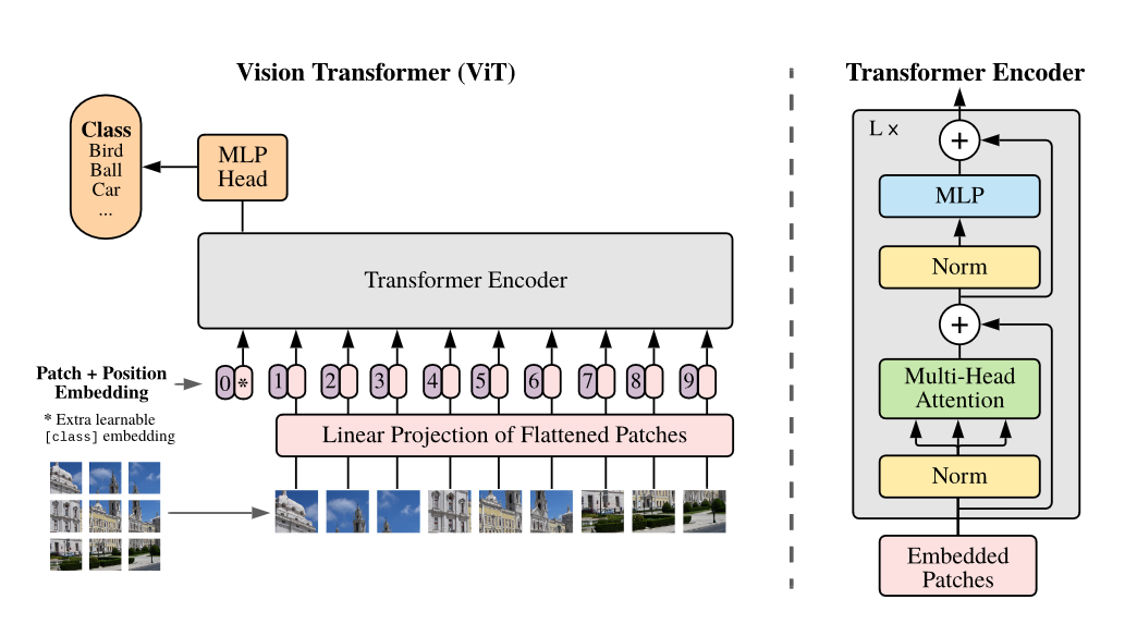 ViT架构图